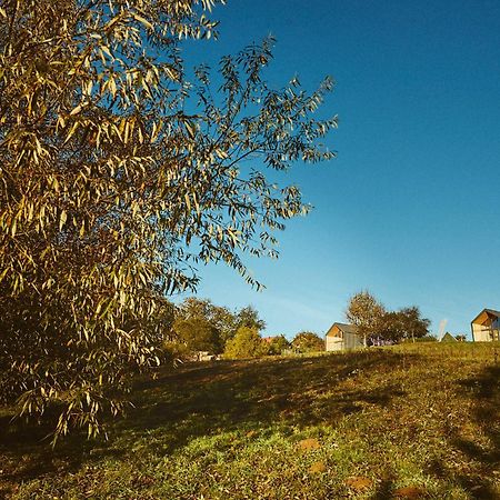 Scandinave Chalet Bran Zărneşti Exteriör bild