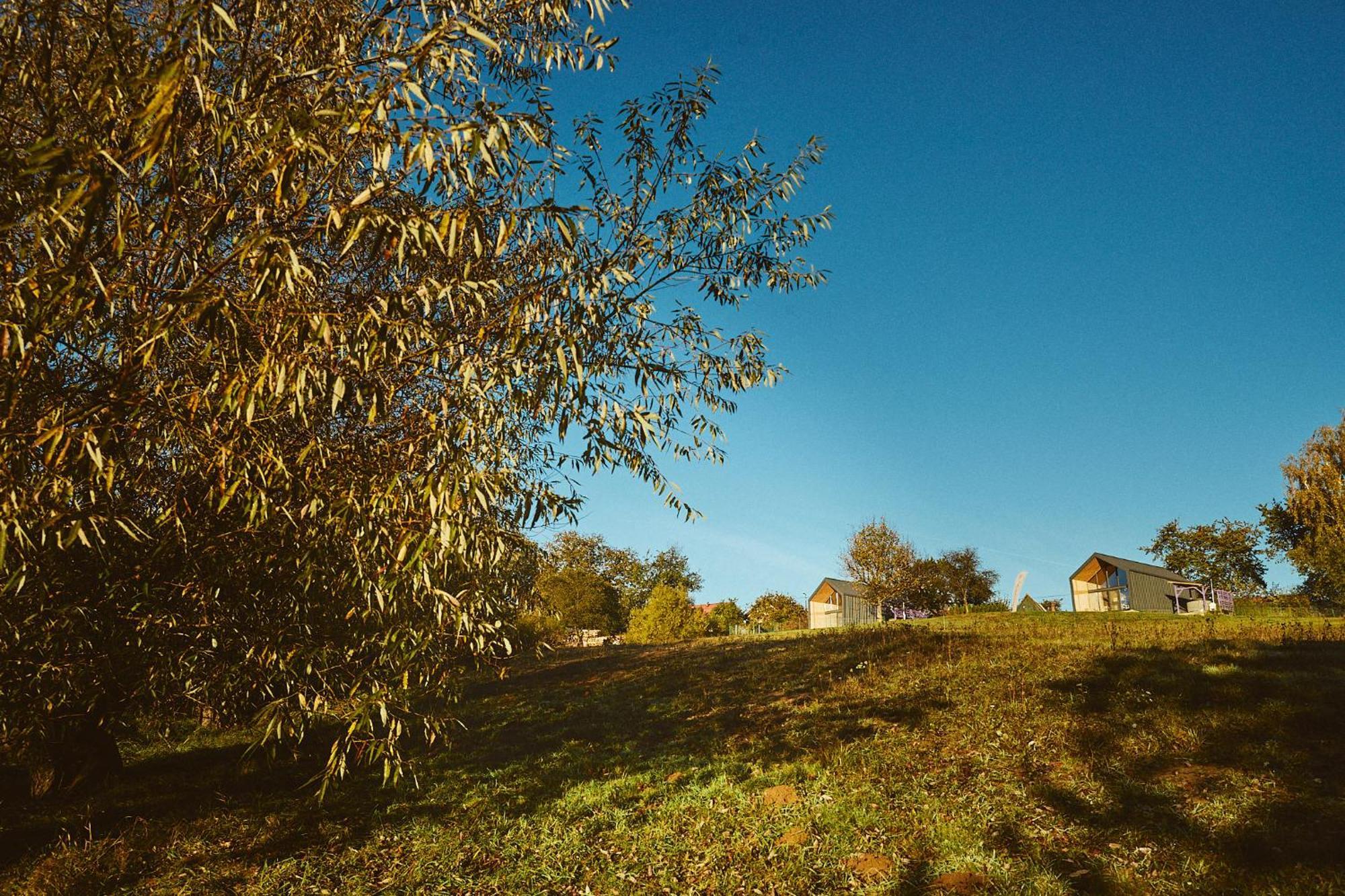Scandinave Chalet Bran Zărneşti Exteriör bild