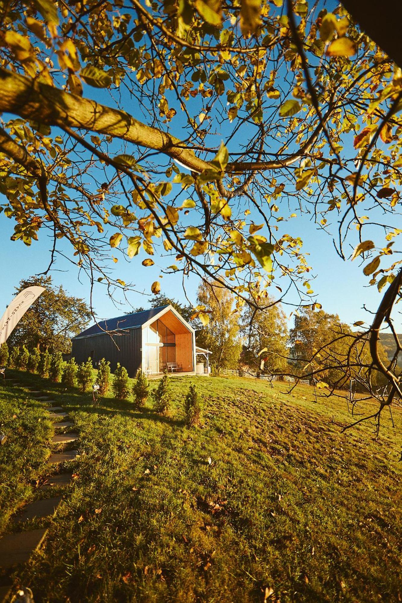 Scandinave Chalet Bran Zărneşti Exteriör bild