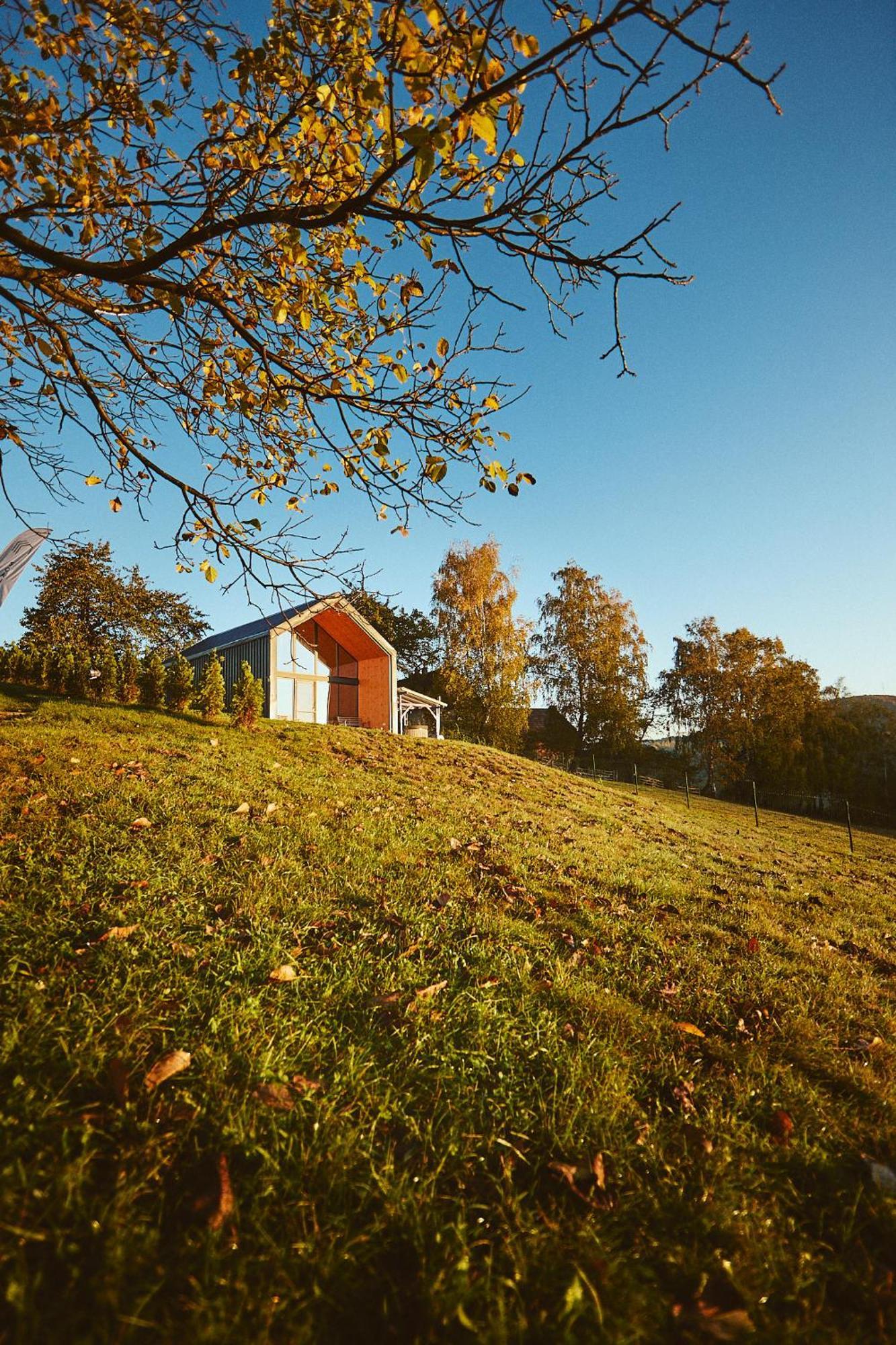 Scandinave Chalet Bran Zărneşti Exteriör bild
