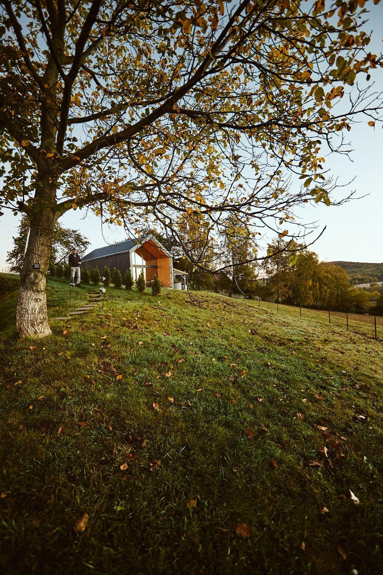 Scandinave Chalet Bran Zărneşti Exteriör bild