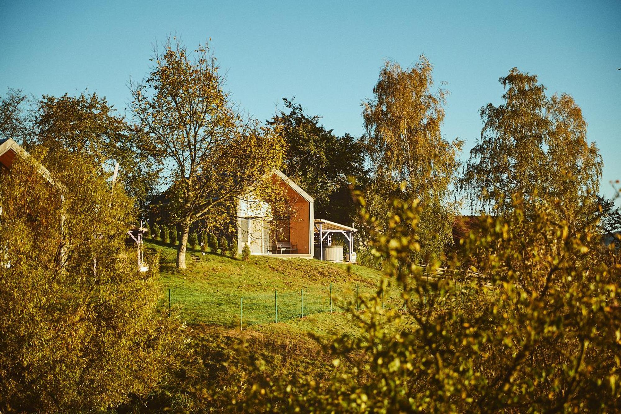 Scandinave Chalet Bran Zărneşti Exteriör bild