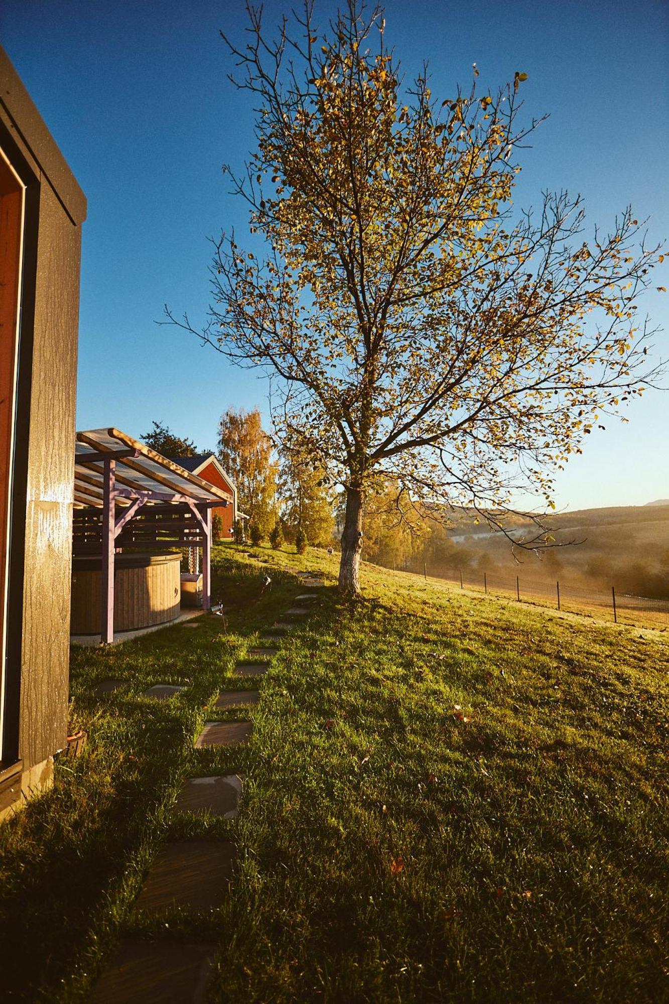 Scandinave Chalet Bran Zărneşti Exteriör bild
