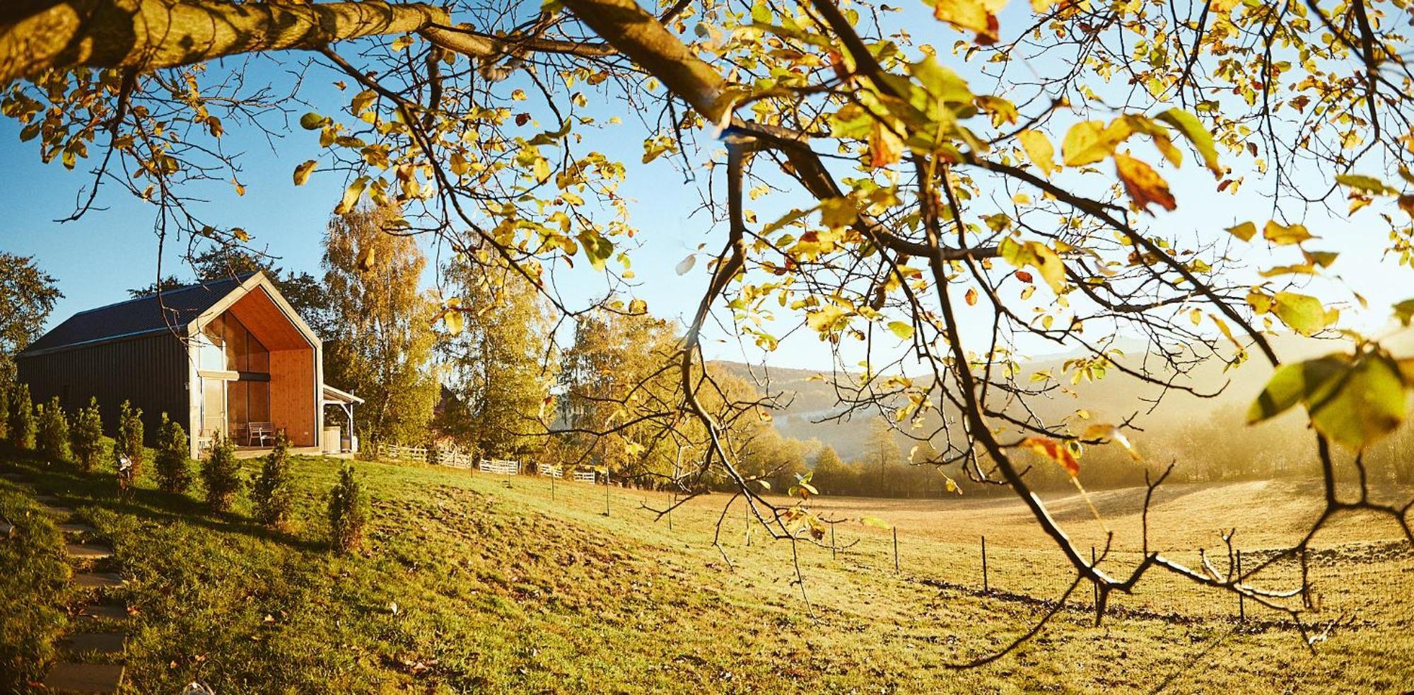 Scandinave Chalet Bran Zărneşti Exteriör bild
