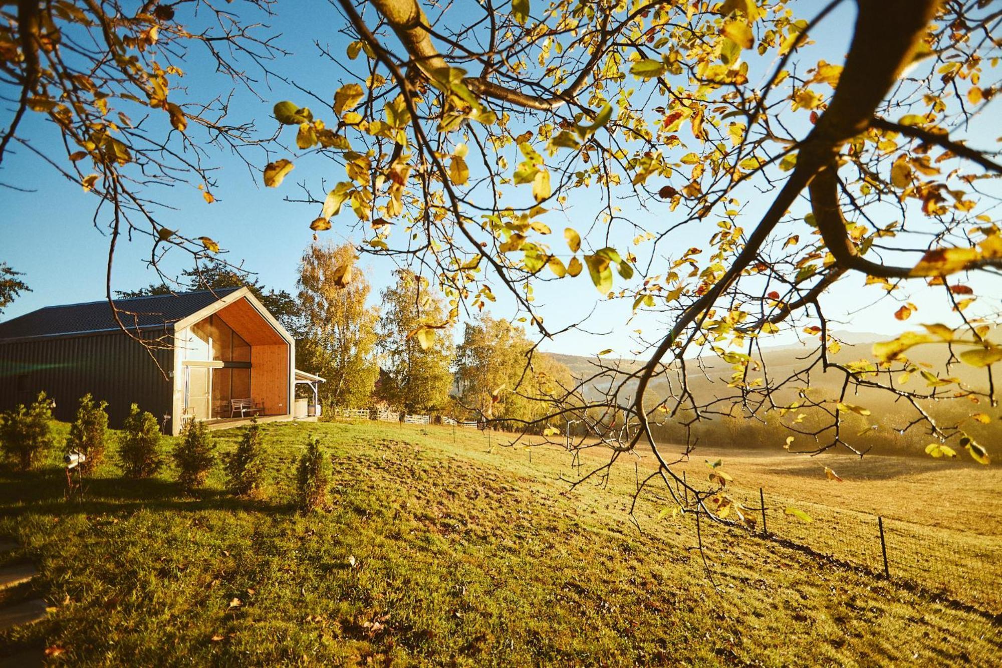 Scandinave Chalet Bran Zărneşti Exteriör bild