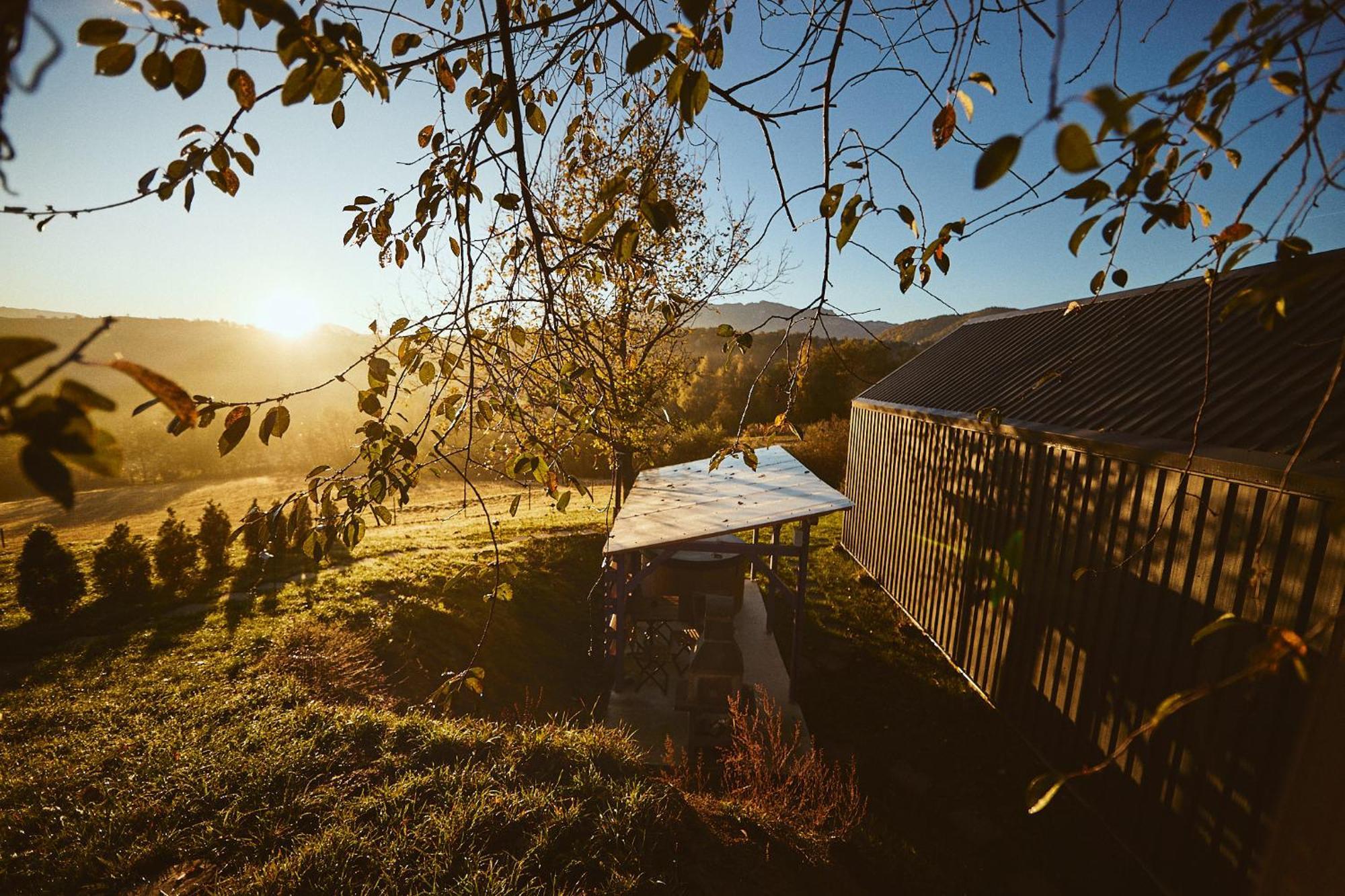 Scandinave Chalet Bran Zărneşti Exteriör bild