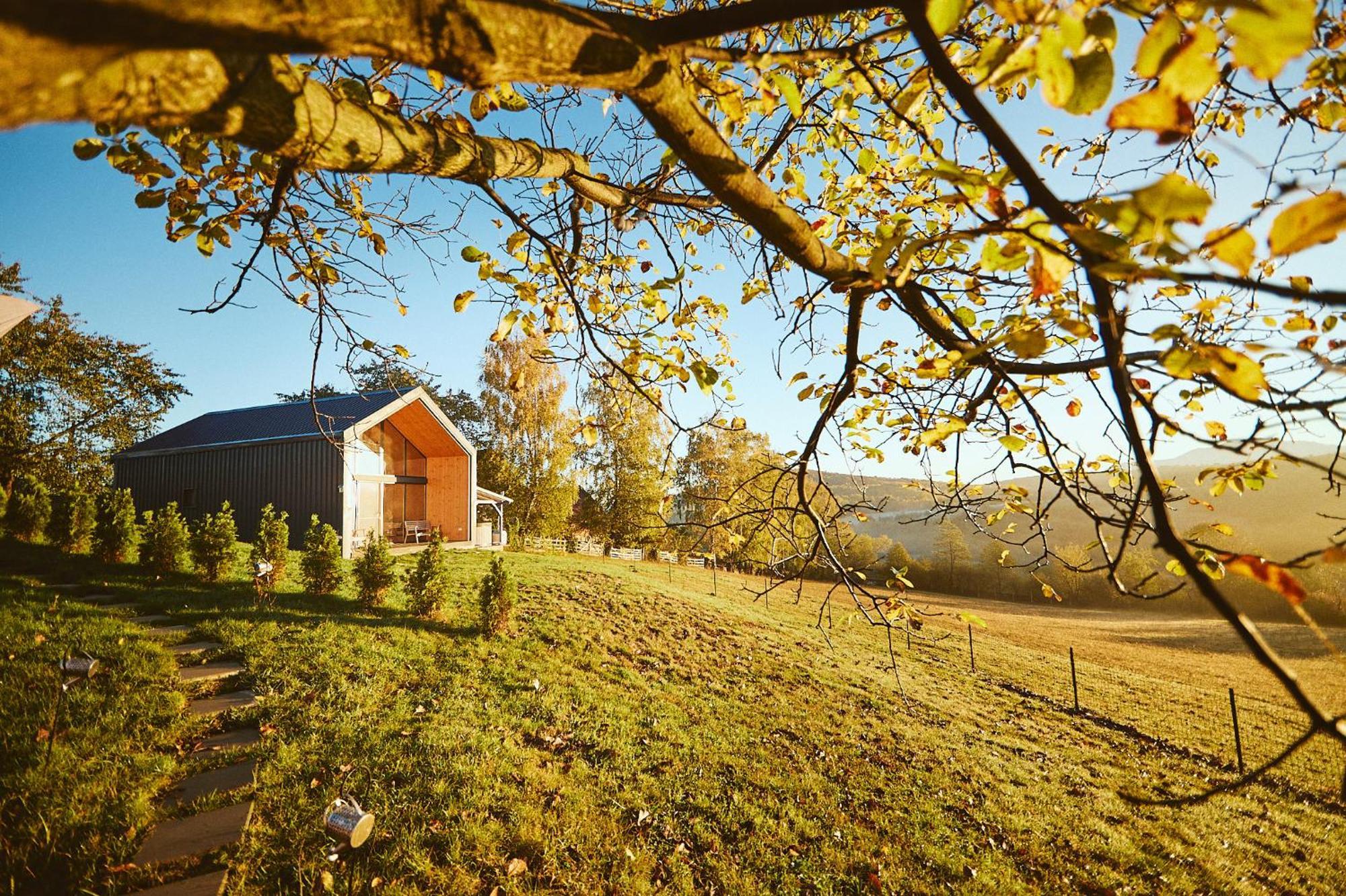 Scandinave Chalet Bran Zărneşti Exteriör bild