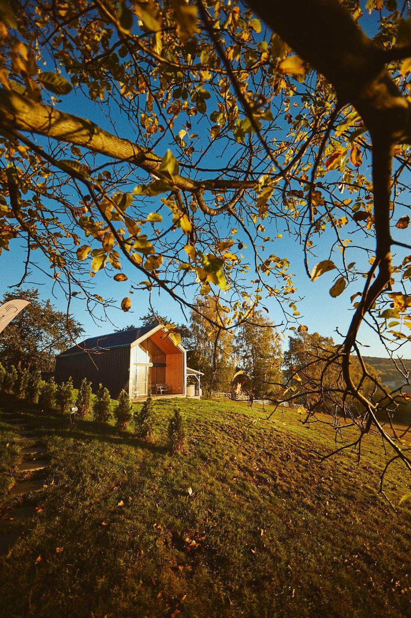 Scandinave Chalet Bran Zărneşti Exteriör bild