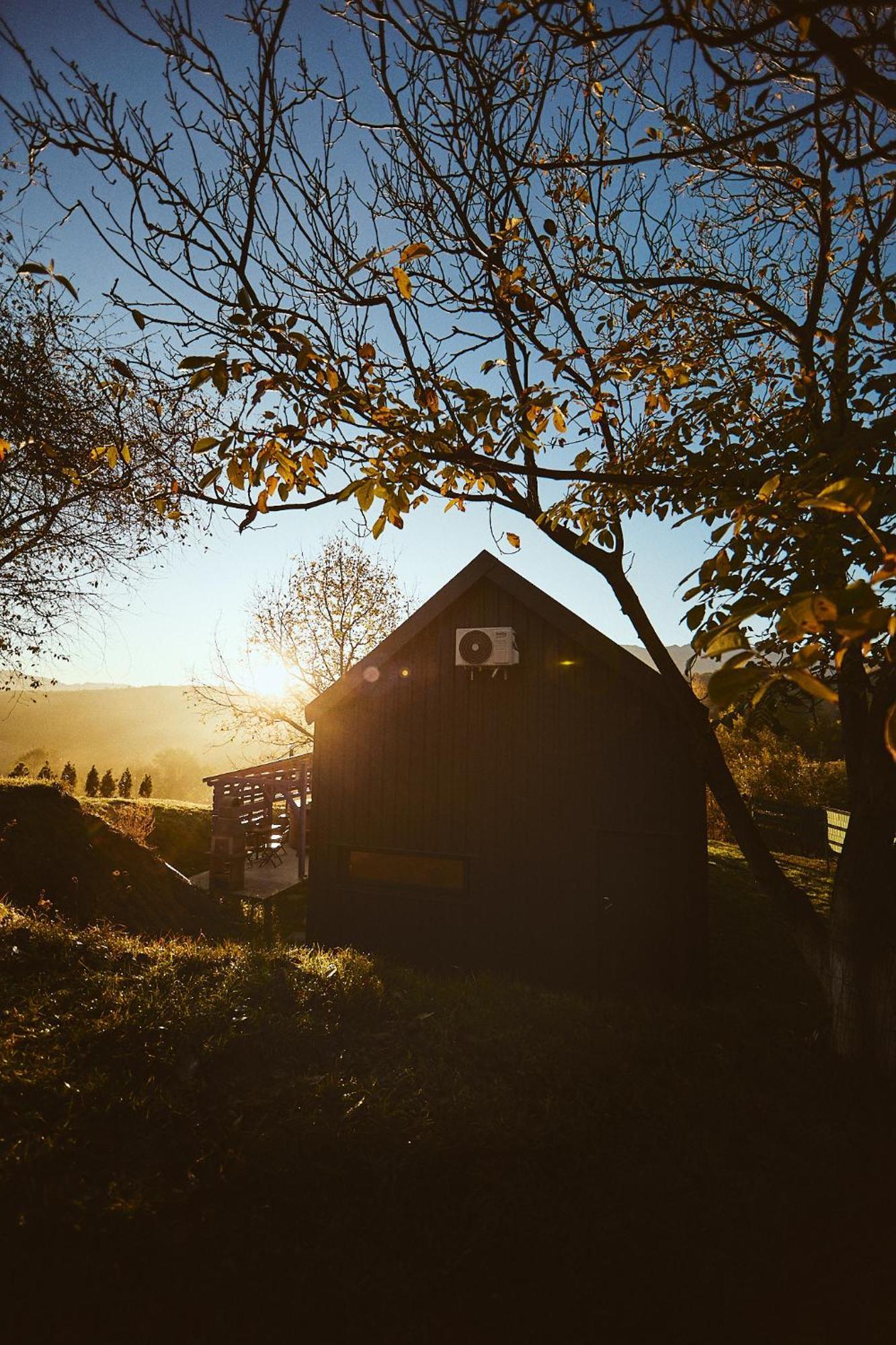 Scandinave Chalet Bran Zărneşti Exteriör bild