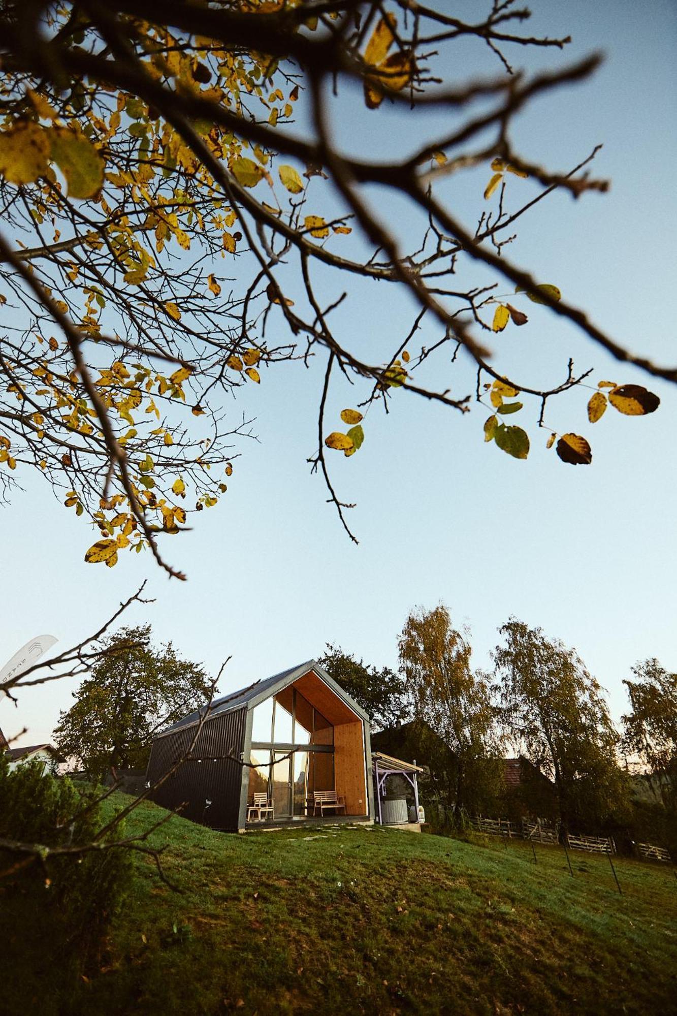 Scandinave Chalet Bran Zărneşti Exteriör bild